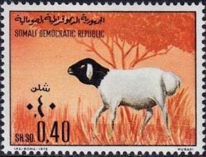 Colnect-3805-389-Sheep-Ovis-ammon-aries.jpg