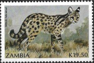 Colnect-4242-364-Leptailurus-serval.jpg