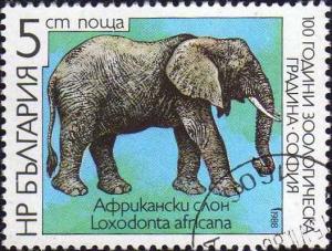 Colnect-4316-757-African-Elephant-Loxodonta-africana.jpg