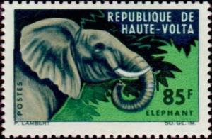 Colnect-508-201-African-Elephant-Loxodonta-africana.jpg