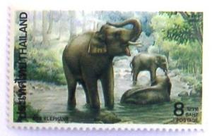 Colnect-533-586-Asian-Elephant-Elephas-maximus.jpg