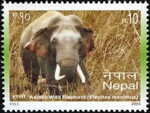 Colnect-550-650-Asian-Elephant-Elephas-maximus.jpg