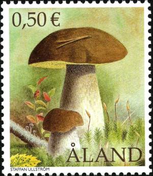 Colnect-5521-055-Cep-Boletus-edulis.jpg