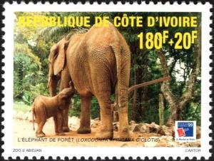 Colnect-6142-395-African-Elephant-Loxodonta-africana.jpg