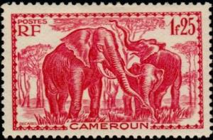 Colnect-787-776-African-Elephant-Loxodonta-africana.jpg