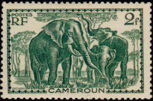 Colnect-787-791-African-Elephant-Loxodonta-africana.jpg