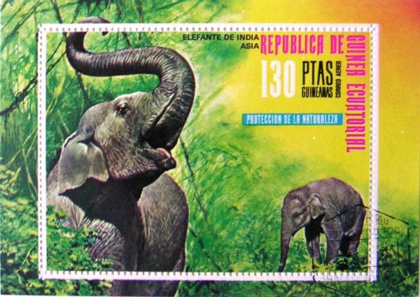 Colnect-549-956-Asian-Elephant-Elephas-maximus.jpg