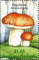 Colnect-2031-906-Cep-Boletus-edulis.jpg