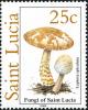 Colnect-2545-349-Lepiota-spiculata.jpg