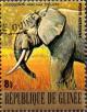 Colnect-2908-947-African-Elephant-Loxodonta-africana.jpg