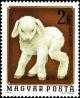 Colnect-4502-900-Sheep-Ovis-ammon-aries.jpg