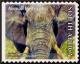 Colnect-4934-815-African-Elephant-Loxodonta-africana.jpg