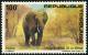 Colnect-5991-679-African-Elephant-Loxodonta-africana.jpg