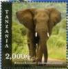 Colnect-3056-847-African-Elephant-Loxodonta-africana.jpg