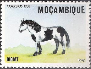 Colnect-1119-707-Pony-Equus-ferus-caballus.jpg