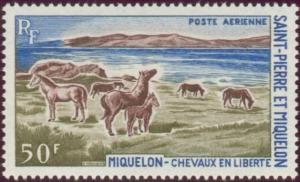 Colnect-879-392-Grazing-Horses-Equus-ferus-caballus-Miquelon.jpg