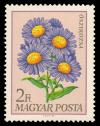 1932_Flowers_200.jpg