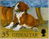 Colnect-120-795-German-Boxer-Canis-lupus-familiaris.jpg