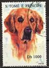 Colnect-1272-103-Irish-Setter-Canis-lupus-familiaris.jpg