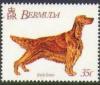 Colnect-1338-908-Irish-Setter-Canis-lupus-familiaris.jpg