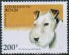 Colnect-1546-264-Fox-Terrier-Canis-lupus-familiaris.jpg