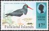 Colnect-1674-584-Magellanic-Oystercatcher-Haematopus-leucopodus.jpg