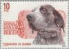 Colnect-175-786-Burgos-Setter-Canis-lupus-familiaris.jpg