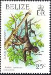 Colnect-2162-321-Black-Spider-Monkey-Ateles-paniscus.jpg