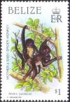 Colnect-2162-323-Black-Spider-Monkey-Ateles-paniscus.jpg