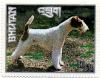 Colnect-2245-882-Fox-Terrier-Canis-lupus-familiaris.jpg