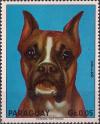 Colnect-2280-949-German-Boxer-Canis-lupus-familiaris.jpg