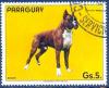 Colnect-2321-505-German-Boxer-Canis-lupus-familiaris.jpg