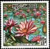 Colnect-2777-201-Red-Tiger-lotus-Nymphea-lotus.jpg