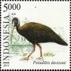 Colnect-2894-194-White-shouldered-Ibis-Pseudibis-davisoni.jpg