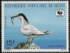 Colnect-2957-365-Roseate-Tern-nbsp-Sterna-dougallii.jpg