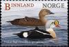 Colnect-3120-055-King-Eider-Somateria-spectabilis.jpg