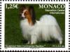 Colnect-3211-323-International-Dog-Show.jpg