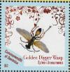 Colnect-3276-753-Golden-Digger-Wasp-Sphex-ichneumoneus-.jpg