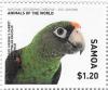 Colnect-3605-910-Lesser-Jardine-s-Parrot.jpg