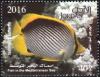 Colnect-4090-871-Black-back-Butterflyfish-Chaetodon-melannotus.jpg