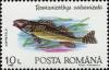 Colnect-4585-377-Romanian-Darter-Romanichthys-valsanicolas.jpg