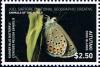 Colnect-4767-658-Karner-Blue-Butterfly-Lycaeides-melissa-samuelis.jpg