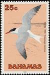 Colnect-576-822-Royal-Tern-Thalasseus-maximus.jpg