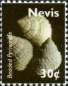 Colnect-5850-168-Three-beaded-periwinkles-Tectarius-muricatus.jpg