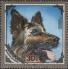 Colnect-912-103-German-Shepherd-Canis-lupus-familiaris.jpg