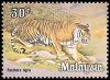 Colnect-982-837-Tiger-Panthera-tigris.jpg