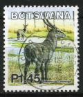 Colnect-1407-746-Ellipsen-Waterbuck-Kobus-ellipsiprymnus.jpg