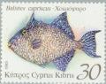 Colnect-178-705-Grey-Triggerfish-Balistes-capriscus.jpg