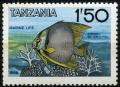 Colnect-1908-039-Butterflyfish-Chelmon-sp.jpg