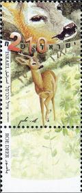 Colnect-2639-371-Roe-Deer-Capreolus-capreolus.jpg